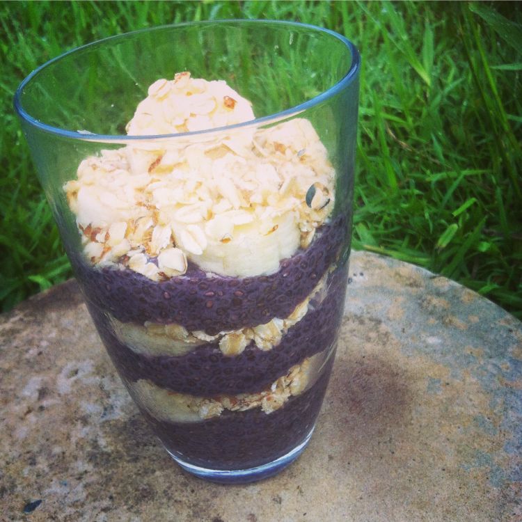 blueberry_banana_chia_pudding 