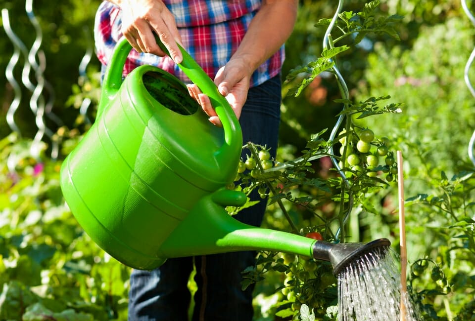 incidental exercise - gardening