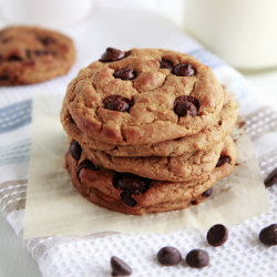 Chocolate-Chip-Chickpea-