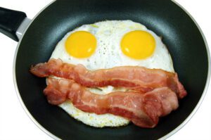 are animal fats really good for us?