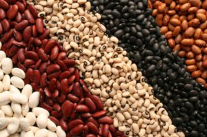 Foods to fight fatigue and help weight loss-beans