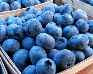 fresh blueberries