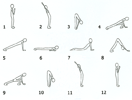 The Sun Salutation