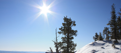 sunshine an aid to weight loss?